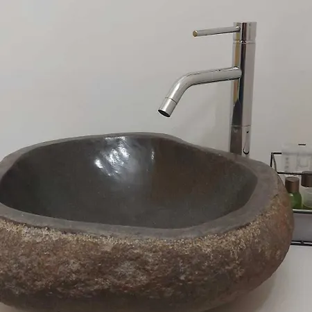 Kaktus 2