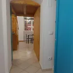 Kaktus 2